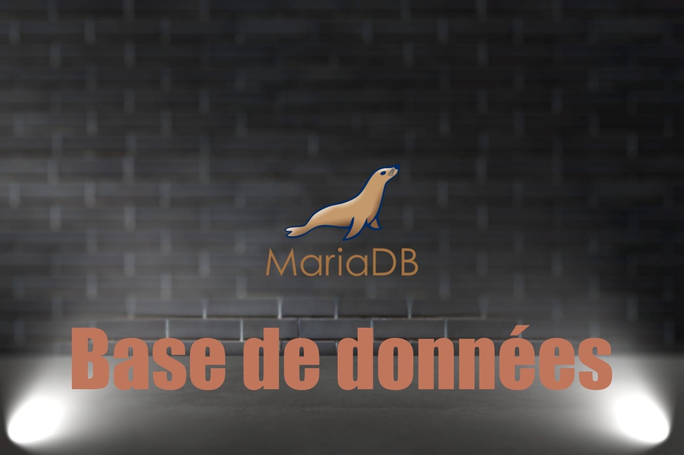 Installation et configuration de MariaDB